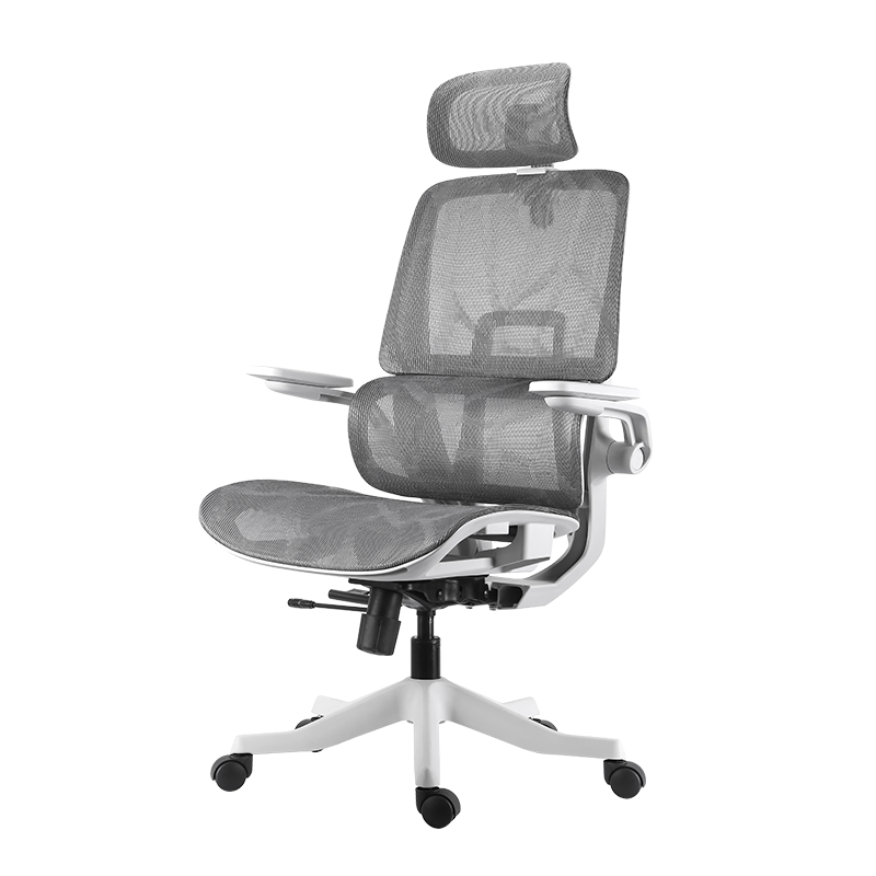 ����� C12���幤ѧ���ӵ����ΰ칫�羺�� 3D����ʽ˫������4