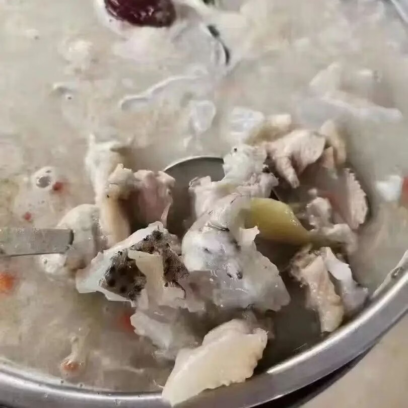 【顺丰包邮】正宗海南野生刺鲍鱼刺龟海南刺豚鱼皮海南高档海鲜 每条 2.5-3.01斤【发三条】海南千年渔港直发【野生】