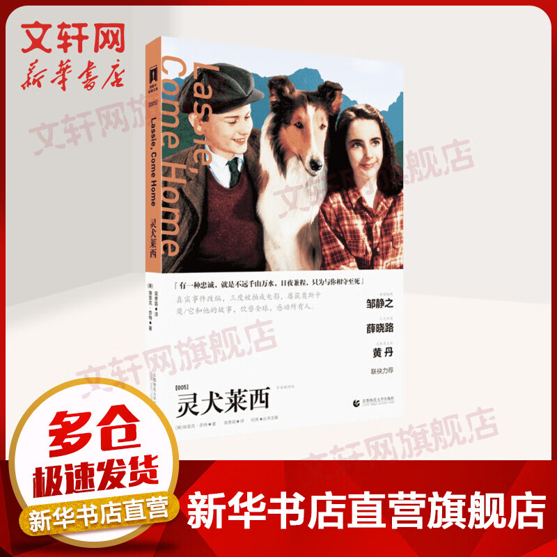 灵犬莱西(导读剧照版)