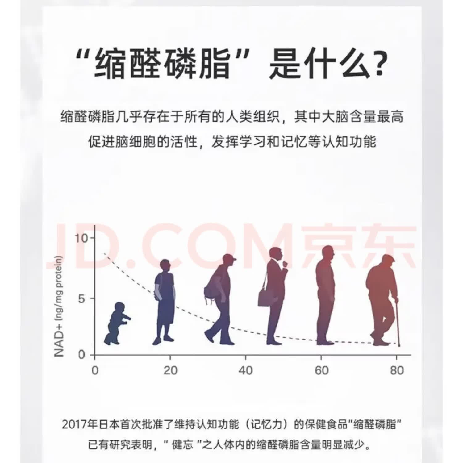 AMC缩醛磷脂胶囊高纯度老年人补脑品健脑复生增强记忆日本原装进口 60粒*3盒 【巩固装】