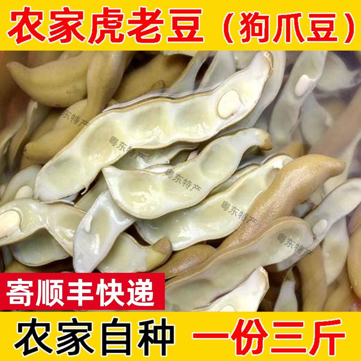 蔬菜新鲜虎老豆狗爪豆豆皮新鲜食品胡老豆老虎豆客家特产 2000g