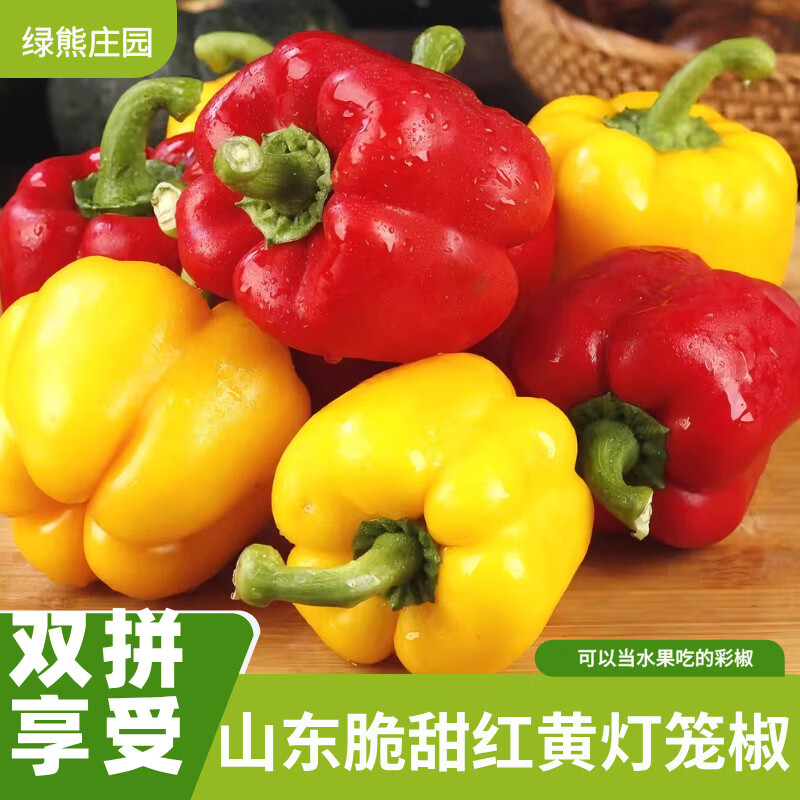 绿熊庄园山东彩椒 甜椒 新鲜蔬菜五彩椒寿光蔬菜不辣水果柿子椒红黄灯笼椒 双拼红黄彩椒 净重2斤 单果120g+