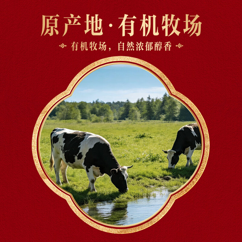 伊利金典3.8g乳蛋白有机全脂纯奶250ml*10盒新老包装随机 年货礼盒装