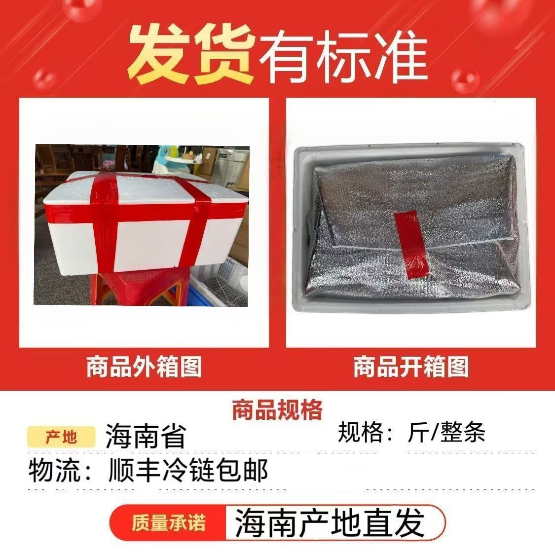 【顺丰包邮】正宗海南野生刺鲍鱼刺龟海南刺豚鱼皮海南高档海鲜 每条 2.5-3.01斤【发三条】海南千年渔港直发【野生】