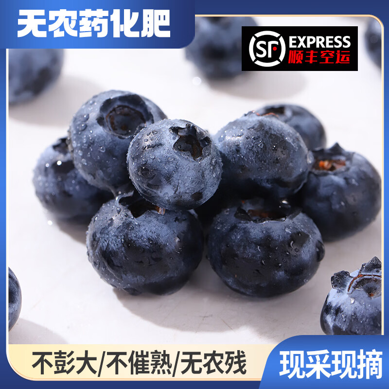 云南澄江抚仙湖花香蓝莓L25蓝莓脆甜天花板 超大果源头空运次日达 L25花香蓝莓125g*4盒装净重1斤+顺丰空运 中果15mm+