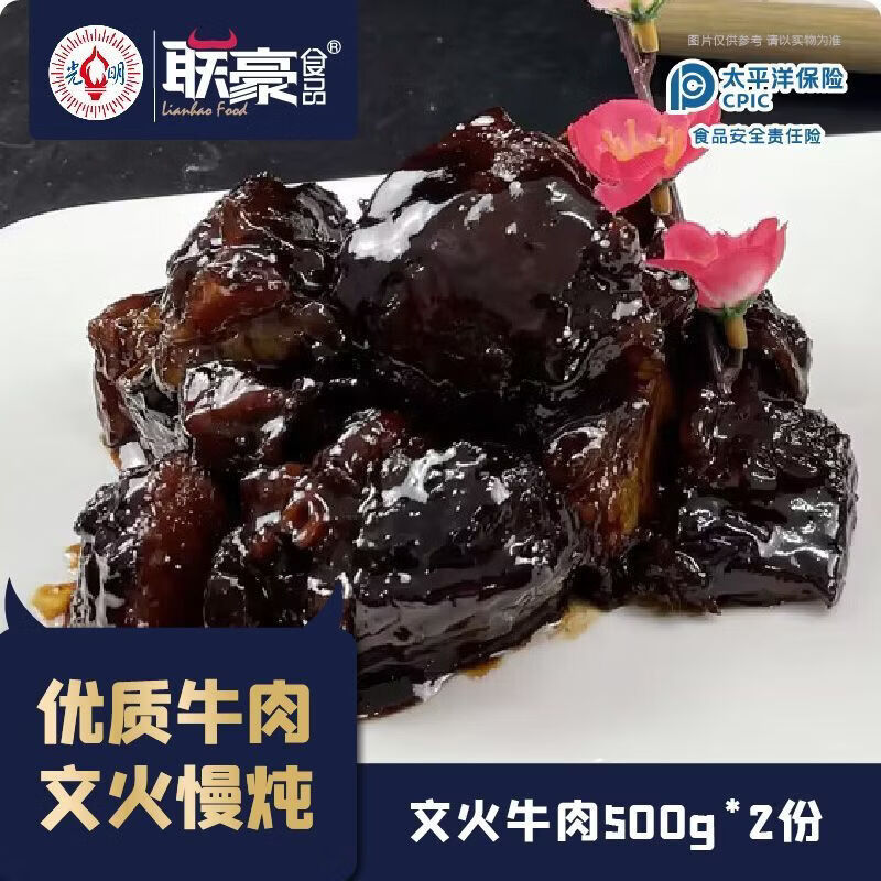 联豪食品文火牛肉 500g*2包 牛肉私房菜半成品家庭食材加热即食 文火牛肉500g*2包(连汤带肉)