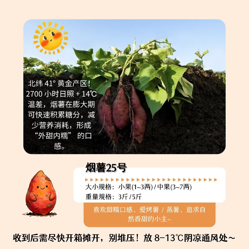 正宗烟薯25红薯地瓜糖心流油蜜薯白哈密冰糖薯烤薯店同薯细腻软糯 【活动专享】5斤 烟薯中果(3~7两)｜圆通