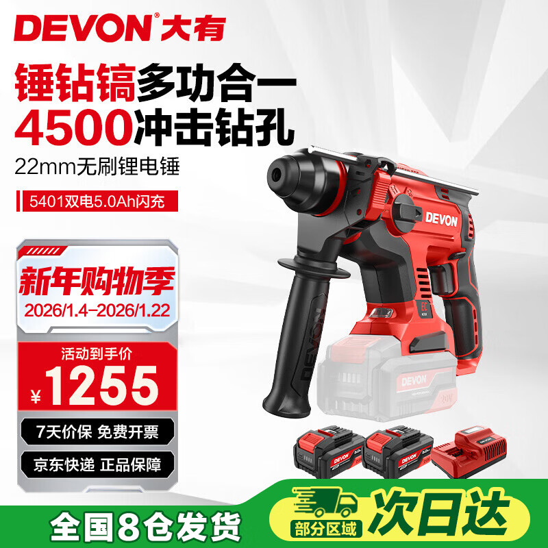 大有20V无刷充电锂电电锤5401冲击钻电镐两用混凝土开凿双电5.0闪充
