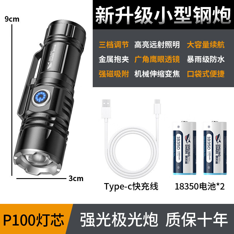 GERTHRON德国迷你手电筒2026新款强光超亮充电变焦远射家用耐用小型便携式  P100灯芯【升级款—电池*2】