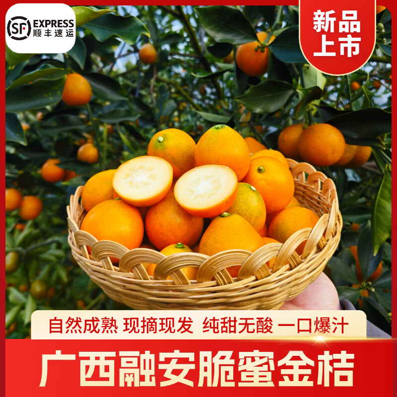 正宗融安脆蜜金柑 国家地理标志产品 三代金桔新鲜水果 顺丰包邮 2斤大果(约30-36颗左右） 精选糖果独立包装