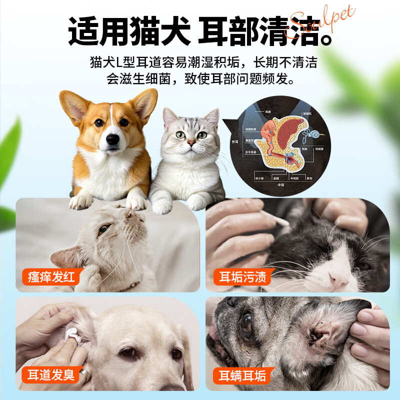 富士樱宠物洁耳凝胶狗狗猫咪清洁洗耳液耳垢耳道除菌除异味远离耳螨 银离子洁耳凝胶 60ml*1瓶