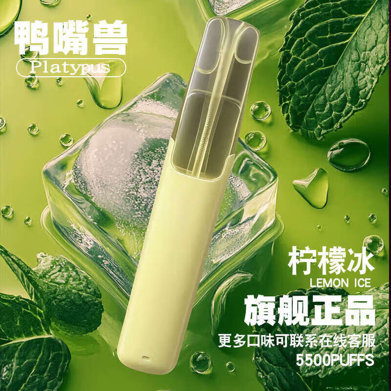 智能口腔喷雾果味微网分子除味口腔口喷清新器便携式充电款 柠檬【11ml】