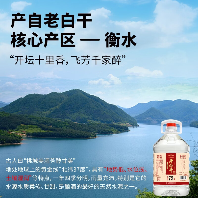 滏陽河老白干衡水52/62/67/72度老白干纯粮食酒桶装泡酒专用白酒高粱酒散装5L 72度 5L 1桶 【老白干香型 高度泡酒专用】