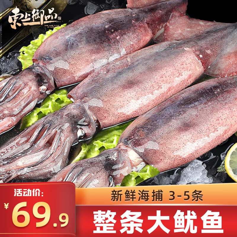 东上御品 山东 大鱿鱼净重2.9-3斤 约3-5条鱿鱼 烧烤海鲜食材-源头直发