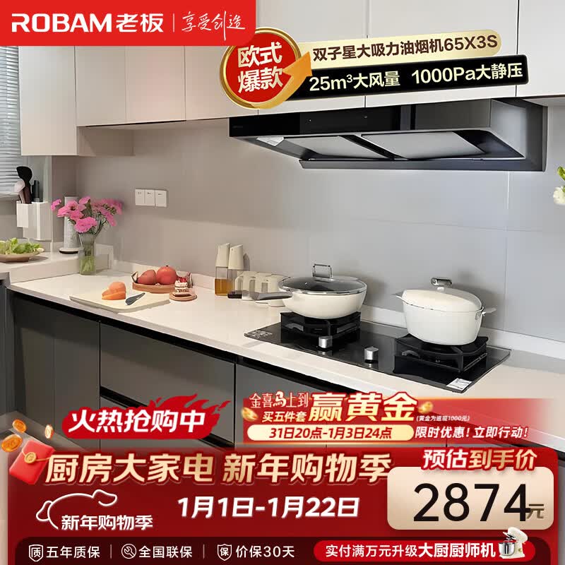 老板（Robam）【双子星65X3S】抽油烟机 欧式双腔变频烟机 25风量1000Pa强劲静压大吸力智控家用吸烟机 以旧换新 【国补立减20%】大吸力油烟机 变频智控