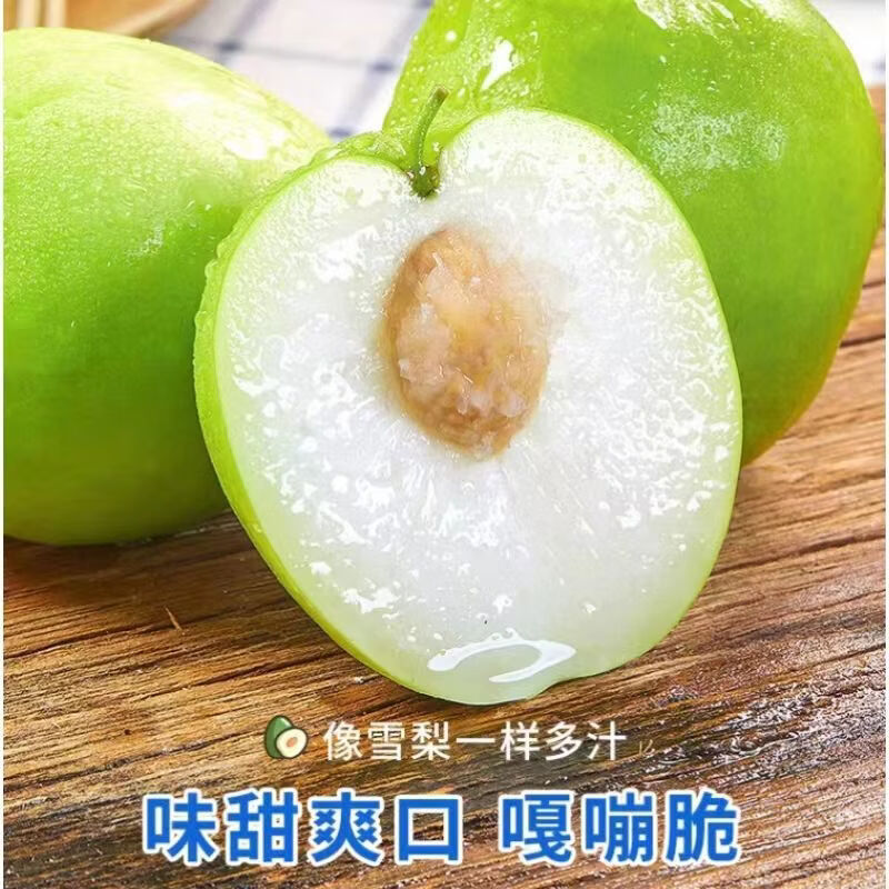 陆贞新货福建牛奶枣贵妃蜜枣青枣脆甜多汁新鲜应季水果整箱批发 老树贵妃枣更脆更甜 脆甜贵妃枣净重4点5斤单果65克起约25-5个