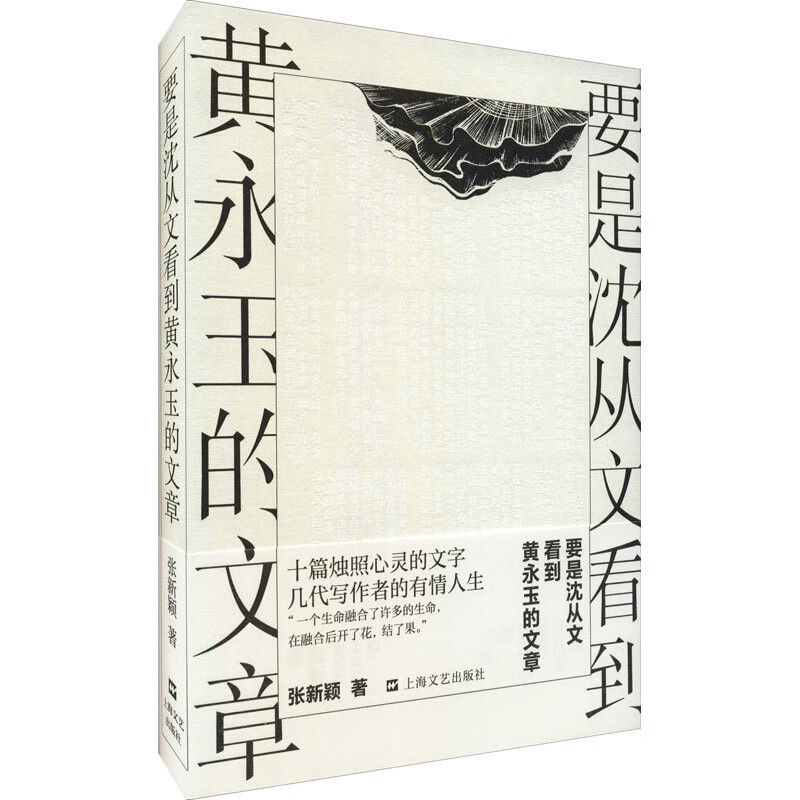 要是沈从文看到黄永玉的文章 张新颖 书籍