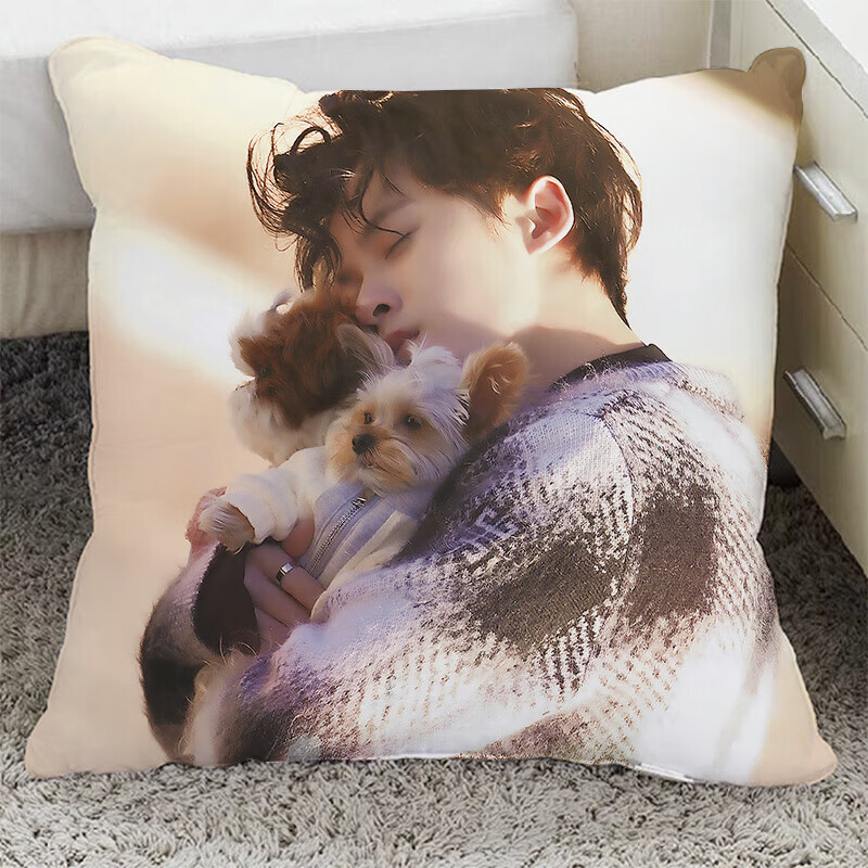 CLCEY檀健次周边抱枕饭制靠垫宿舍卧室床头靠枕闺蜜同学生日礼物 MJG01 40x40厘米(不加枕芯) MJG01