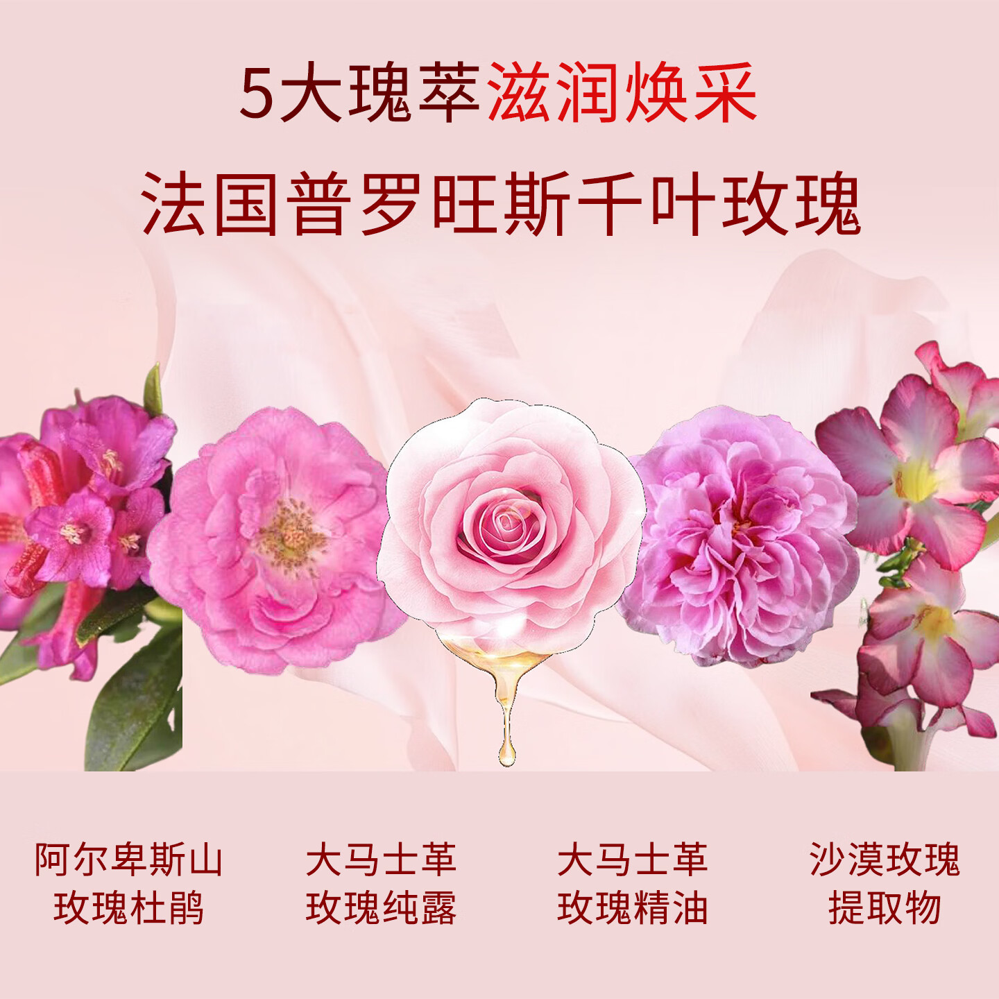 嘉媚乐（CAMENAE）玫瑰新肌密套装女秋冬面部护理套组合洁面水乳霜 玫瑰新肌密臻润霜50g-3代