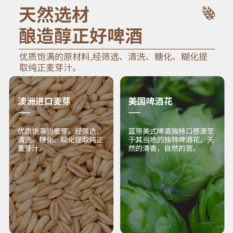 鹏城客比利时风味精酿原浆啤酒白啤整箱深圳品牌澳洲进口全麦芽 精酿白啤 1L 6瓶 整箱装 1箱