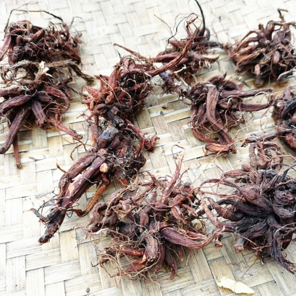 伟博贵州中草药红禾麻根新晒干货500克 中药材红活麻根红火麻小红麻根