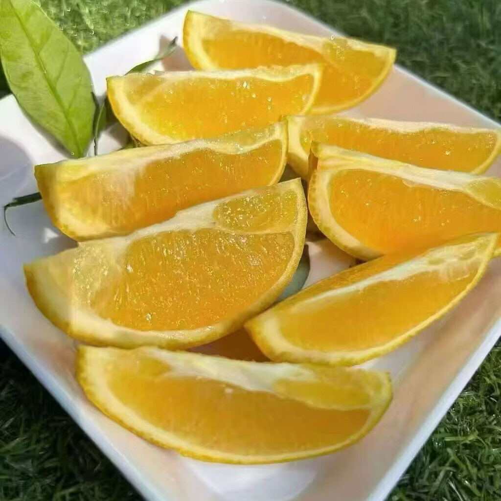 鑫橙源江西正宗赣南脐橙子赣州大果当季甜橙现摘新鲜赣州脐橙产地直发 85-95mm净重9斤