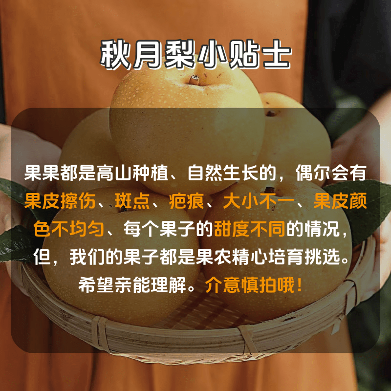 闽域寻鲜山东莱阳羊脂秋月梨应季新鲜水果礼盒送礼现摘冰糖梨子秋月梨 5斤轻享装【净重4.5斤丨约10-12枚】