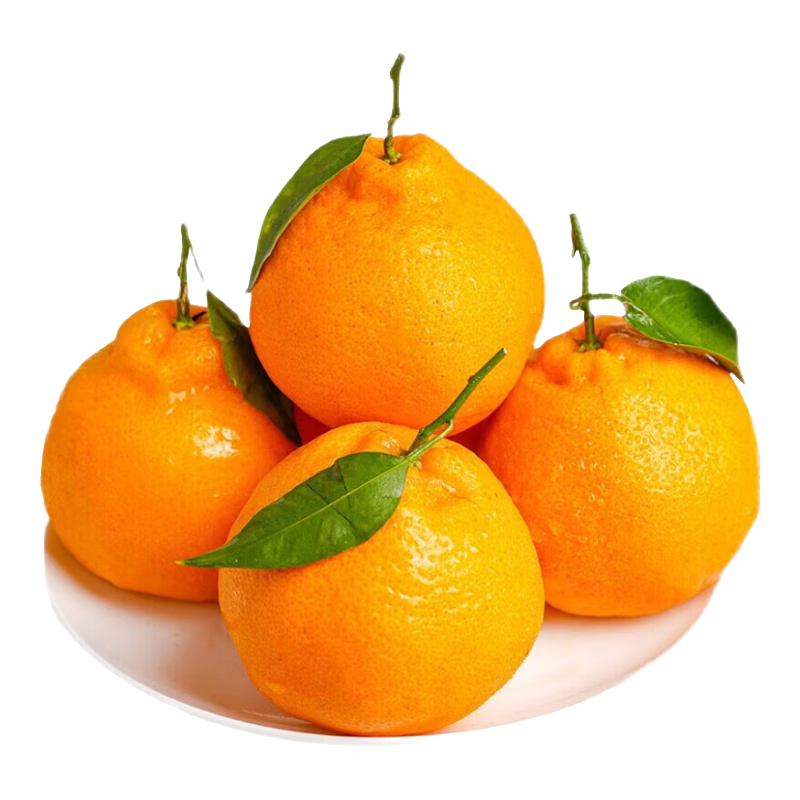 京觅四川春见耙耙柑 4.5斤 单果70mm+ 粑粑柑柑橘生鲜水果 源头直发