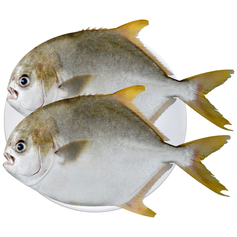 ��ֻ�����ش�����㾻��2�� 2��װ ��� �����䶳 �������ຣ��ˮ����� 51.9Ԫ