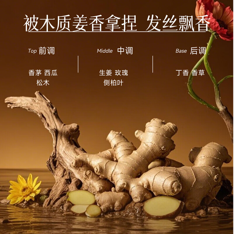 弹动防脱洗发水强韧健发洗发露滋润柔顺滑蓬松控清爽不油丝滑男女通用 【持证防脱】防脱洗发水400ml