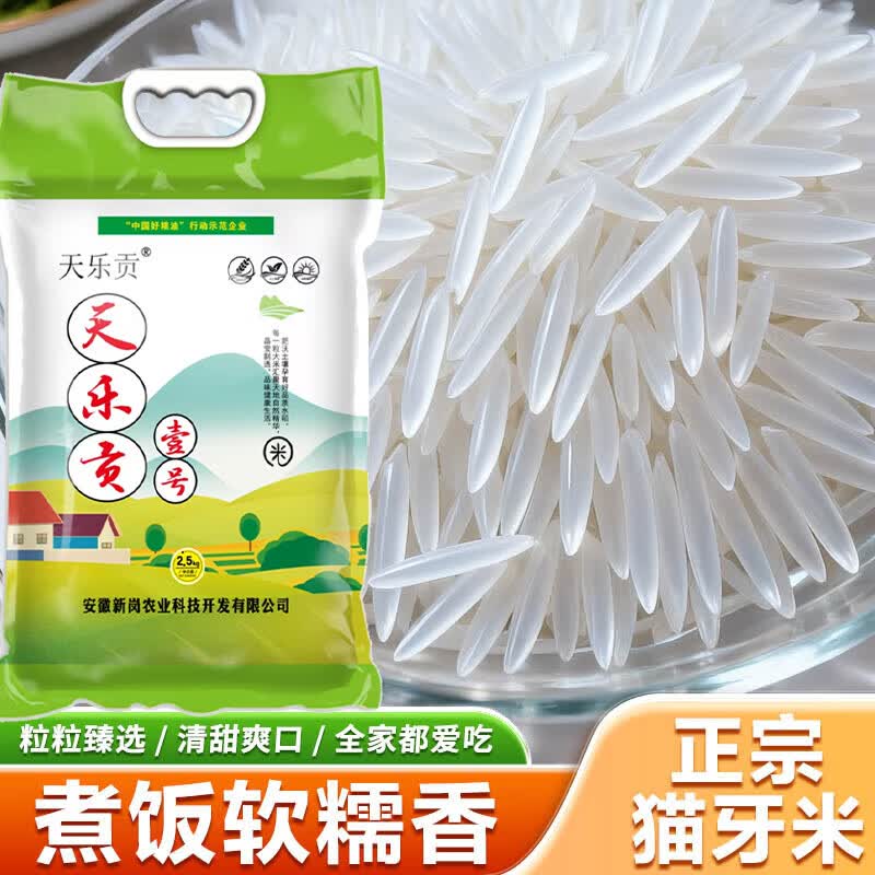 天乐贡生态丝苗米5kg 当季新米南方优质籼米长粒香猫牙米大米10斤20斤 长粒香米【10斤装】