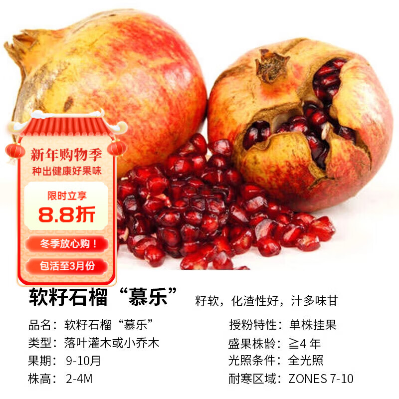 ��Խ��HONGYUE��ʯ����� ��ͥ������ֲˮ��������ʯ���������ϱ���ͥԺ������ ����ʯ��Ľ�֡� 1����