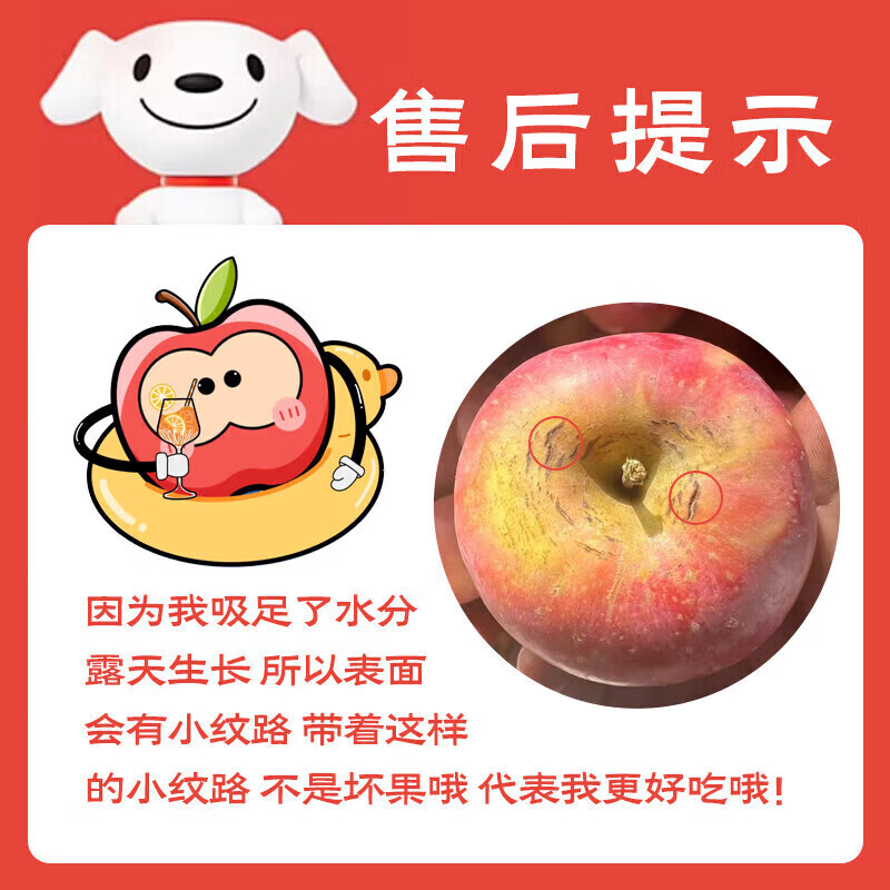 果陆园苹果新疆冰糖心苹果富士苹果脆甜时令丑苹果平果节日送礼平安果 整箱9-10斤精选70-90MM净8.5斤