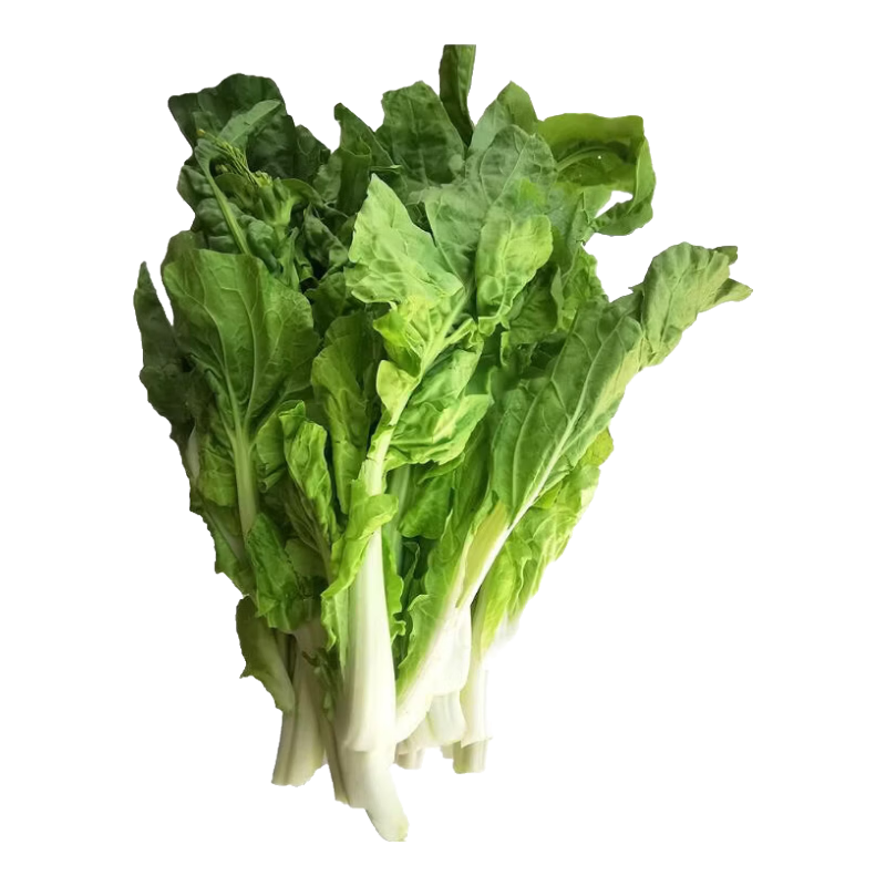 ��ϲ�� ������� �����ײ�̦ ���ʵ��������Ͳ�̦ ũ����ժ 5�� 10.9Ԫ