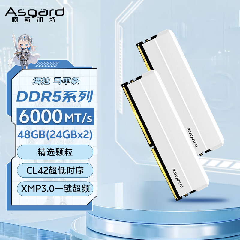 ��˹���أ�Asgard��48GB(24GBx2) DDR5 6000 ̨ʽ���ڴ��� ���� ������ ��ѡ���� CL42 ���ذ�