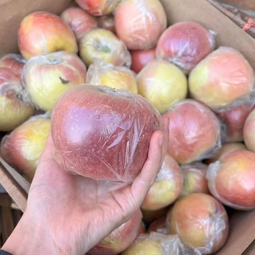 佑嘉木陕西膜袋富士苹果丑苹果新鲜水果脆甜多汁 果径70+ 净重4.5斤