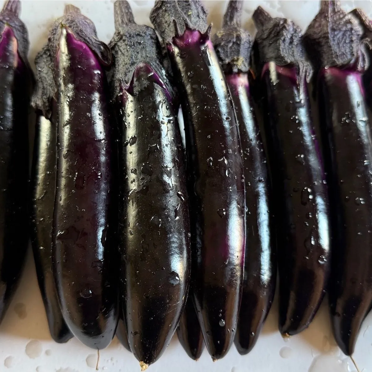 优选老式茄子紫裤紫库新鲜农家蔬菜自种现摘现发可生吃烧烤茄糯茄 带箱9-9.01斤