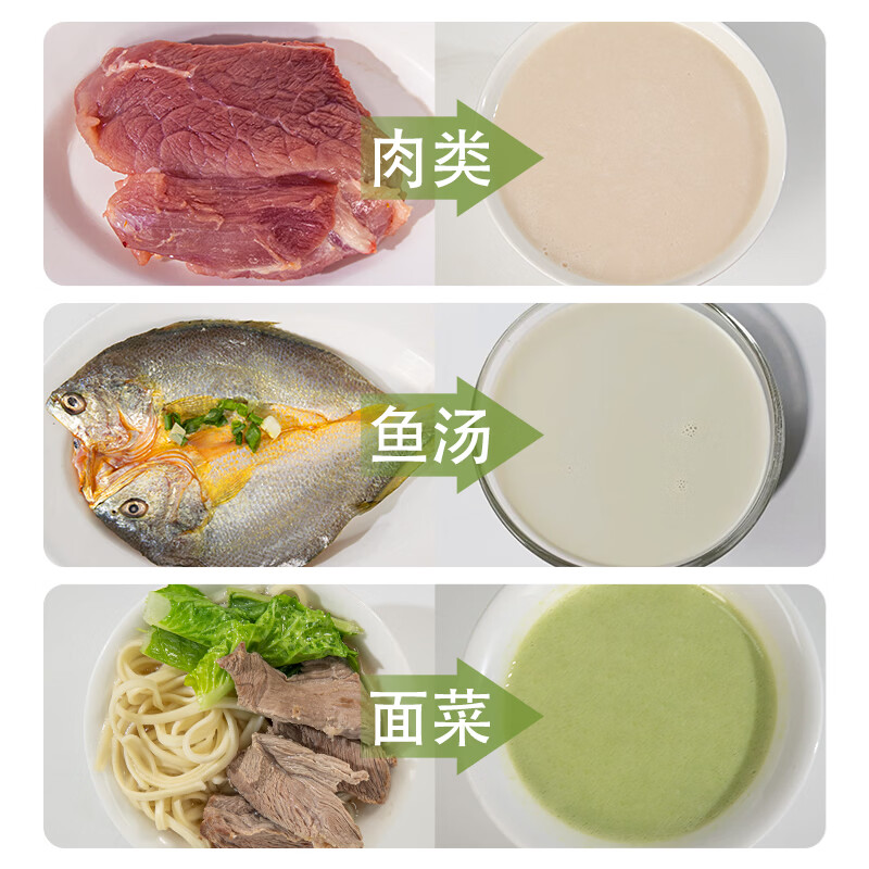 合慧老人专业流食破壁机家用小型饭菜打粉碎料理机病人米糊辅食搅拌机 【脉冲加热款】H2第十一代专业流食机