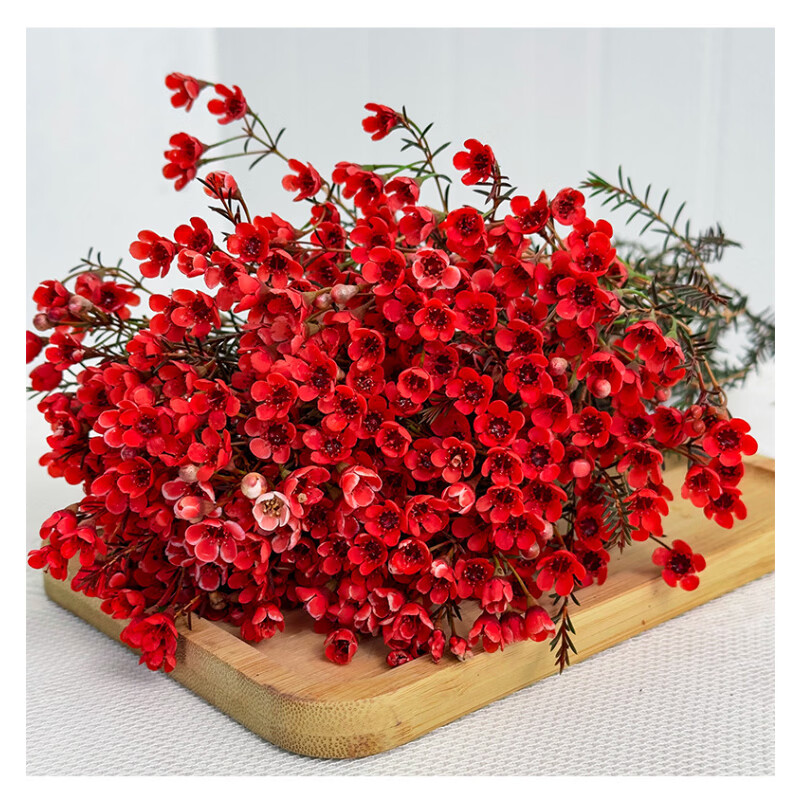 胖东来同款澳洲腊梅鲜花腊梅花鲜花云南基地直发红色水养耐寒鲜切 腊梅鲜花红色1扎100克+送保鲜剂 不含花瓶