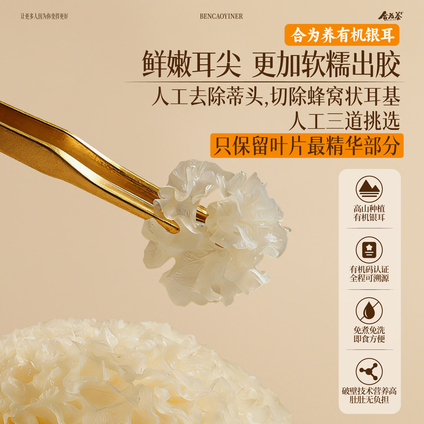 合为养本草栽培有机银耳正品免洗免煮冲泡即食银耳羹营养早餐滋补品 有机银耳 80g*1罐