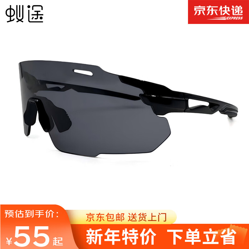 蚁途登山骑行眼镜护目镜防风沙滑雪镜可用于徒步跑步运动公路车太阳镜 C1 亮黑（灰片） 京东折扣/优惠券