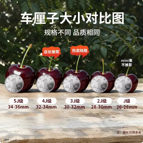 胖东来同款车厘子礼盒款智利车厘子孕妇推荐新鲜水果5斤 2斤(净重) 2斤 3J 30mm(含)-32mm(不含)