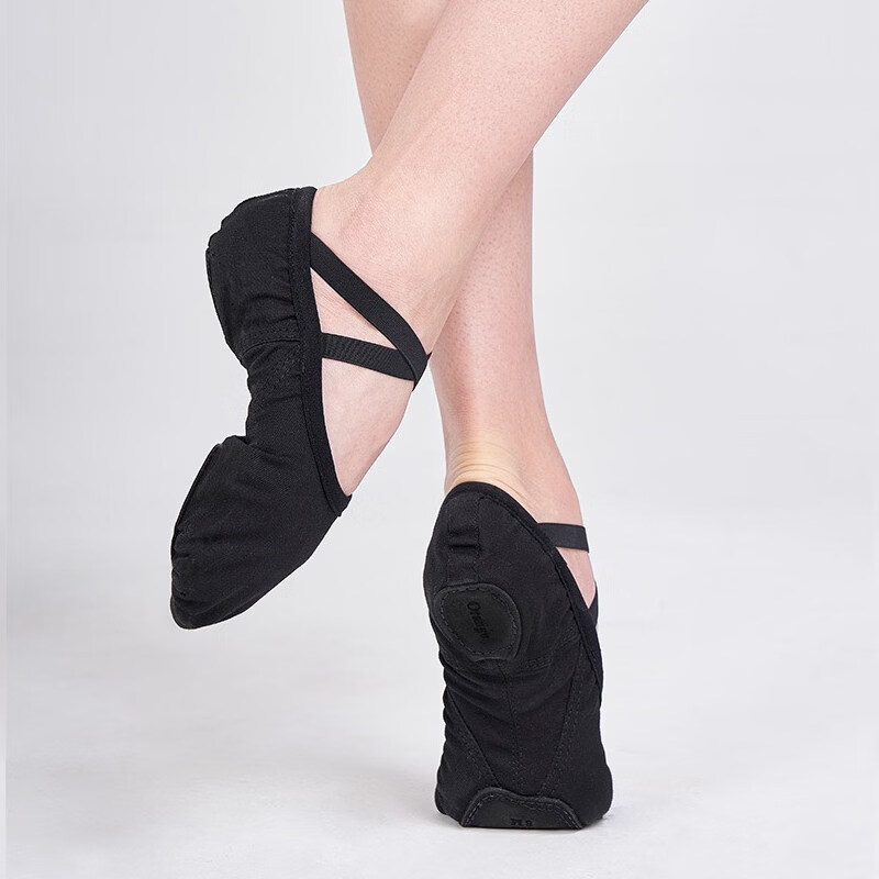 三沙(Sansha)舞蹈鞋男童軟底練功鞋男形體男士貓爪鞋跳舞芭蕾舞鞋 黑色 24