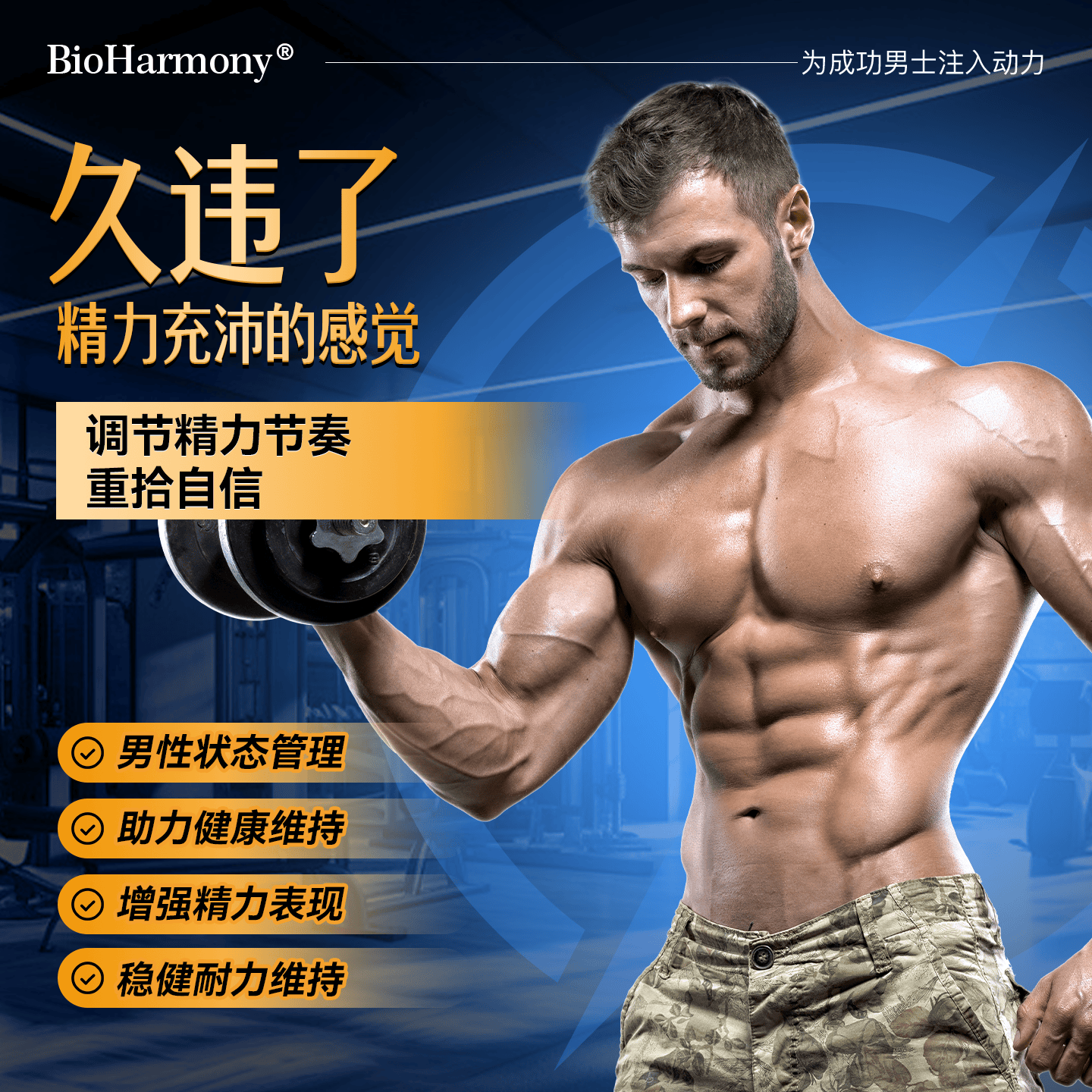 BioHarmony 行萬里男士活力套装黑玛咖牡蛎精肽淫羊藿瓜氨酸东革阿里补肾精力补品药 男士活力套装*3