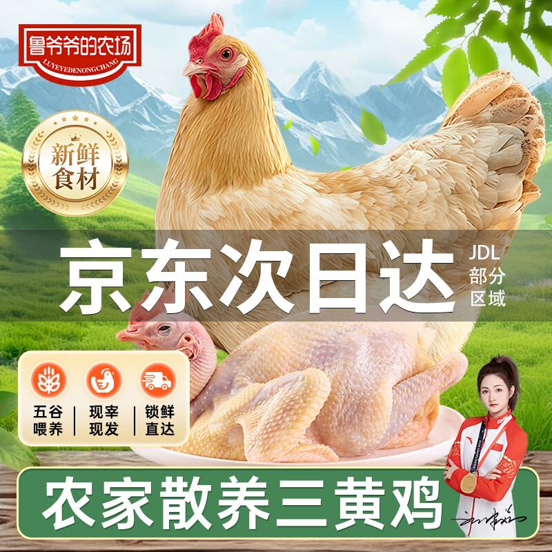 鲁爷爷的农场清真三黄鸡农家散养正宗土鸡走地鸡童子鸡月子鸡新鲜现杀冷链保鲜 现杀现发1只 净重1.5斤左右/只