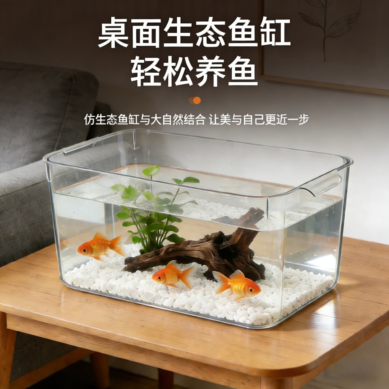 宠街坊鱼缸桌面小型金鱼缸PET鱼缸一体缸透明生态乌龟缸客厅家用送礼