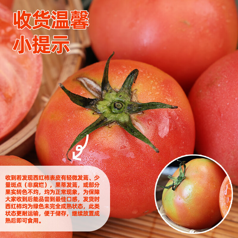 滇鲜生(DIANXIANSHENG)云南新鲜蔬菜西红柿自然成熟多种吃法农家新鲜粉果番茄 新鲜西红柿 5斤 (净重)
