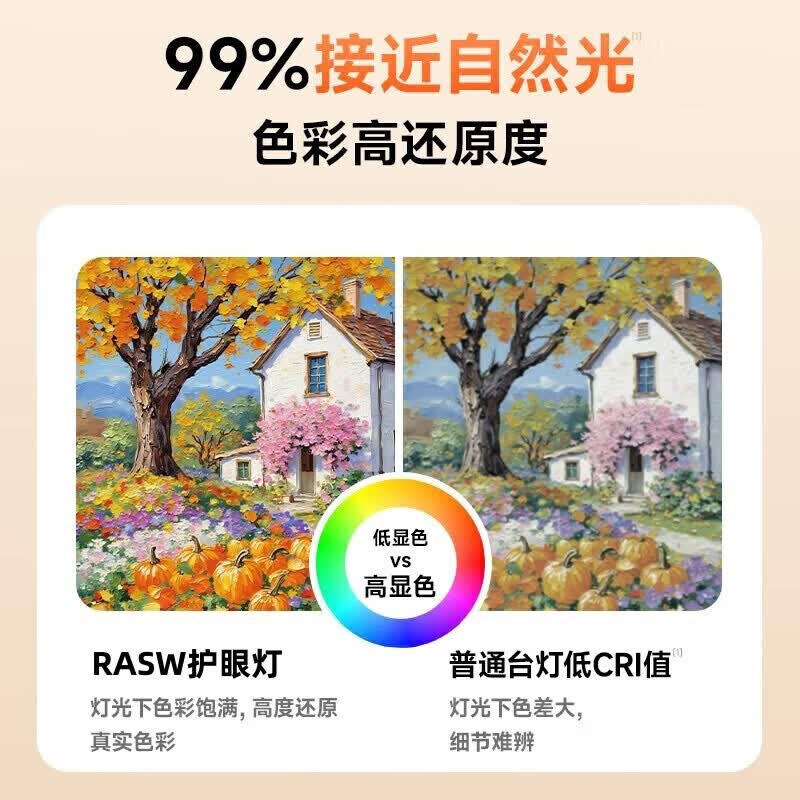 RASW德国台灯护眼学习学生宿舍专用超长续航防蓝光近视国5a儿童充电灯 【pro学霸款】充插两用+触摸开关+智能数显  2026新款