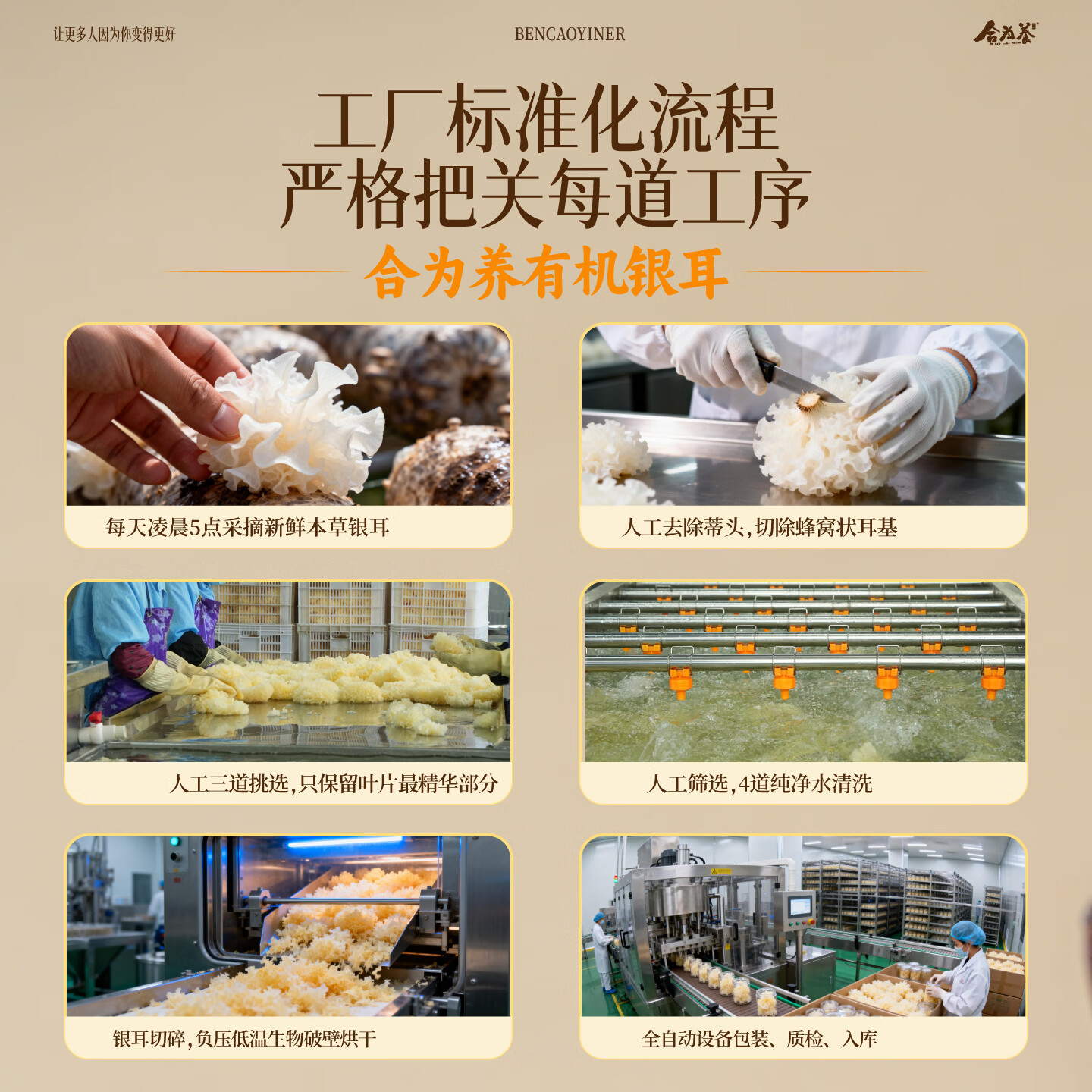 合为养本草栽培有机银耳正品免洗免煮冲泡即食银耳羹营养早餐滋补品 有机银耳 80g*1罐