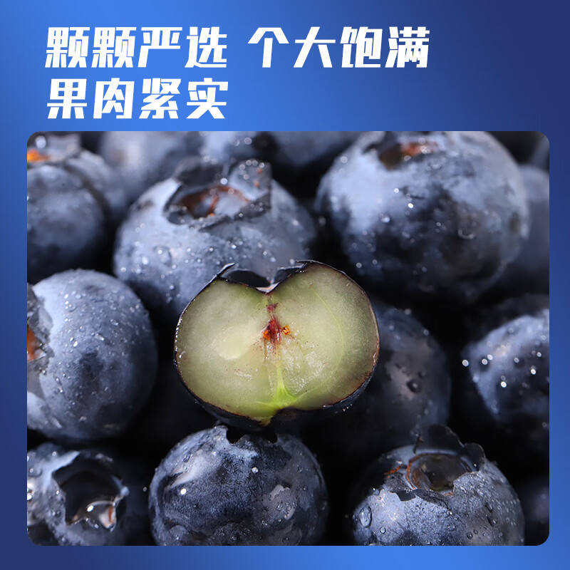 云南澄江抚仙湖花香蓝莓L25蓝莓脆甜天花板 特大果源头空运次日达 L25花香蓝莓400g*2桶装净重1.6斤+顺丰空运 中果15mm+